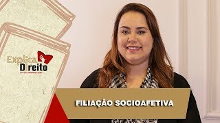 Explica Direito Filiação Socioafetiva  2019 [upl. by Simonetta]