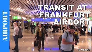 TRANSIT WALK AT FRANKFURT Airport FRA Terminal 1  Connection Flight Transfer Arriving amp Departing [upl. by Eiddet]